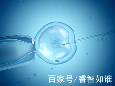 陳明瑜
