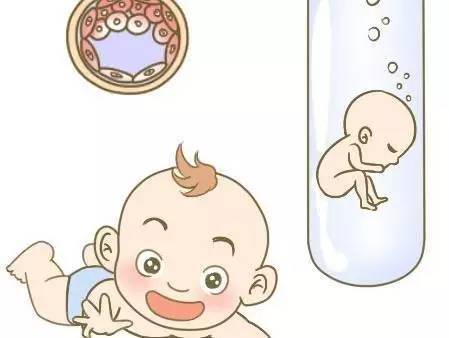 供卵代孕公司